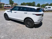 Usata Land Rover Range Rover evoque 163 CV (119 kW) 2021 Bianco SUV