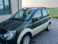 Usata Fiat Panda 60 CV (44 kW) 2009 Verde Utilitaria
