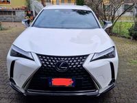 usata Lexus UX 250h 250h 2.0 Premium 2wd cvt my20 Full Hybrid