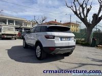 usata Land Rover Range Rover 2.0 eD4 5p. SE Senigallia