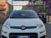 Usata Fiat Panda Easy 69 CV (50 kW) 2014 Bianco Berlina