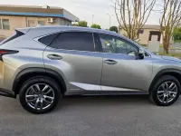 Usata Lexus NX300h Business Edition 155 CV (114 kW) 2018 Grigio SUV