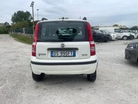 usata Fiat Panda 2ª serie 1.2 Dynamic Natural Power Mamy