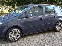Usata Ford C-MAX 90 CV (66 kW) 2007 Blu Monovolume