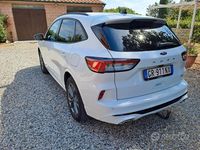 Usata Ford Kuga ST-Line 243 CV (178 kW) 2024 Bianco SUV