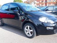 usata Fiat Punto 1.2 8V 5 porte Street Ok Neo Patentati