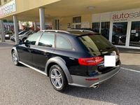 usata Audi A4 Allroad - 3.0 TDI S - tronic Quattro S - L