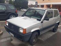 Usata Fiat Panda 4x4 Trekking 54 CV (39 kW) 2001 Utilitaria