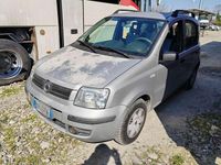 Usata Fiat Panda Active 54 CV (39 kW) 2008 Utilitaria