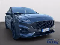 Usata Ford Kuga ST-Line 150 CV (110 kW) 2023 Magnetic grey SUV