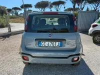 Usata Fiat Panda Cross Cross 69 CV (50 kW) 2020 Grigio Utilitaria