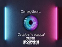 Usata Fiat 500C Lounge 69 CV (50 kW) 2015 Bianca Cabrio