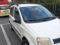 Usata Fiat Panda Dynamic 69 CV (50 kW) 2008 Utilitaria