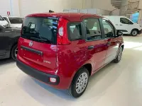 Nuova Fiat Panda Icon 69 CV (50 kW) 2025 Rosso Utilitaria
