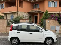 Usata Fiat Panda 2014 Bianco Utilitaria