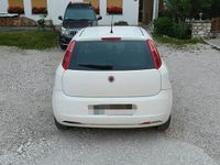 Usata Fiat Punto 70 CV (51 kW) 2009 Bianco Utilitaria