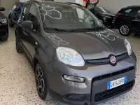Usata Fiat Panda City Life 69 CV (50 kW) 2021 Grigio Utilitaria