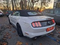 usata Ford Mustang Cabrio Convertible 2.3 EcoBoost aut. usato