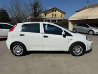 Usata Fiat Punto 69 CV (50 kW) 2016 Bianco Utilitaria