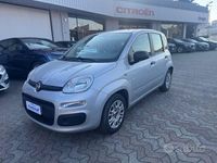 Usata Fiat Panda Easy 69 CV (50 kW) 2018 Grigio Utilitaria