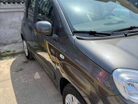 Usata Fiat Panda 69 CV (50 kW) 2016 Grigio Utilitaria