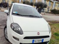 usata Fiat Punto Evo - 2015