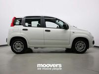 Usata Fiat Panda S 69 CV (50 kW) 2024 Bianco gelato Utilitaria