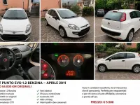 Usata Fiat Punto Evo Dynamic 65 CV (47 kW) 2011 Bianco Utilitaria