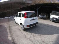 Nuova Fiat Panda Icon 69 CV (50 kW) 2025 Bianco Utilitaria