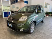 Usata Fiat Panda 4x4 S 86 CV (63 kW) 2014 Verde Utilitaria