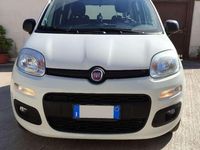 Usata Fiat Panda Connect 69 CV (50 kW) 2020 Utilitaria