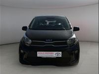 Usata Kia Picanto Urban 67 CV (49 kW) 2023 Bianco Utilitaria