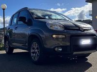 Usata Fiat Panda 4x4 85 CV (62 kW) 2020 Grigio Utilitaria