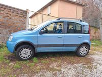 Usata Fiat Panda 4x4 Climbing 2005 Blu Utilitaria