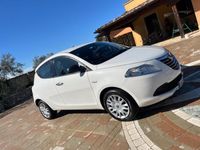 usata Lancia Ypsilon 1.2 2014 69 CV 5 porte platinium