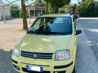 Usata Fiat Panda Dynamic 60 CV (44 kW) 2009 Giallo Utilitaria