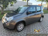 Usata Fiat Panda S 69 CV (50 kW) 2023 Grigio Utilitaria