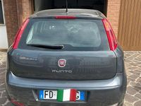 Usata Fiat Punto 69 CV (50 kW) 2016 Grigio Utilitaria