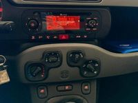 Usata Fiat Panda Lounge 69 CV (50 kW) 2017 Rosso Utilitaria