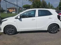 Usata Kia Picanto Launch Edition 63 CV (46 kW) 2025 Bianco Utilitaria
