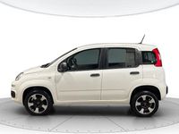 Usata Fiat Panda Easy 70 CV (51 kW) 2020 Bianco gelato Utilitaria