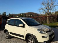 Usata Fiat Panda 4x4 S 95 CV (69 kW) 2014 Bianco Utilitaria