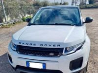 Usata Land Rover Range Rover evoque SE Dynamic 241 CV (177 kW) 2018 Bianco SUV
