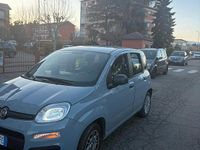 Usata Fiat Panda 69 CV (50 kW) 2018 Grigio Utilitaria