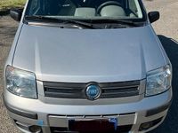 Usata Fiat Panda Dynamic 70 CV (51 kW) 2006 Grigio Utilitaria