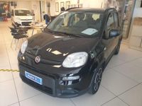 usata Fiat Panda 1.0 FireFly S&S Hybrid City Life del 2021 usata a Sanremo