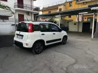 Usata Fiat Panda City Life 69 CV (50 kW) 2021 Bianco Utilitaria