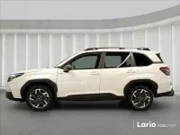 Usata Subaru Forester Style 136 CV (100 kW) 2025 SUV
