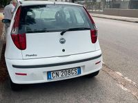 Usata Fiat Punto 80 CV (58 kW) 2004 Bianco Utilitaria