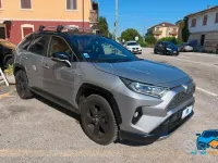 Usata Toyota RAV4 Hybrid Lounge 178 CV (130 kW) 2019 Grigio SUV